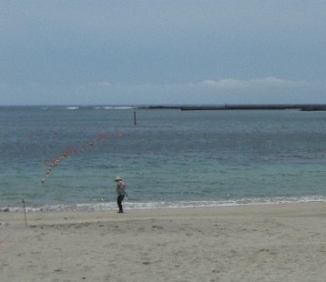 2011年7月26日(火)一転して涼しくなり盛りだくさん!_f0060461_14175472.jpg