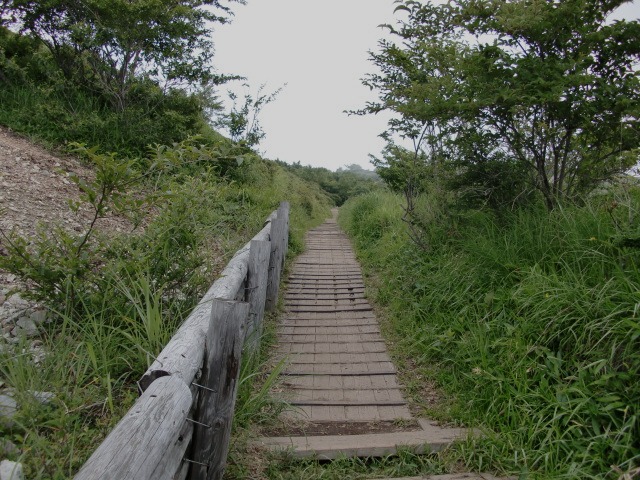 d0010065_2253538.jpg