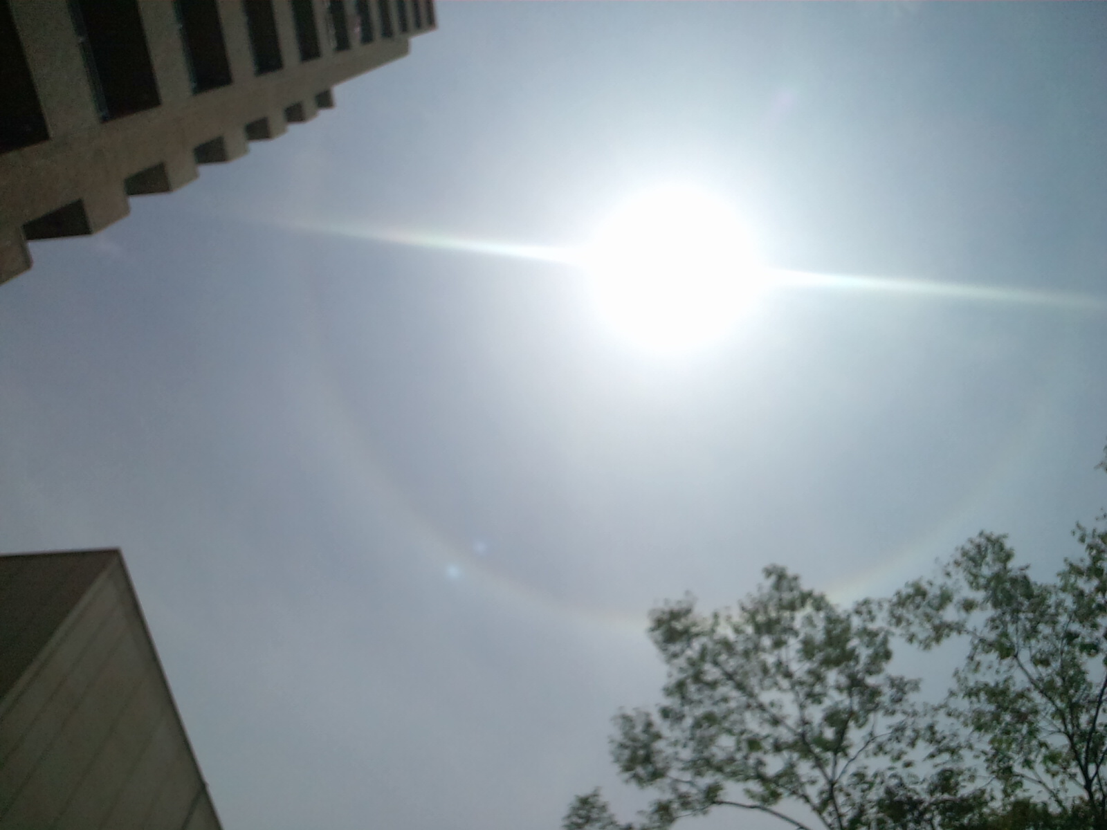 b0192470_11573952.jpg