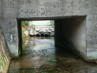 この水、ほぼ全量 湧き水!_e0175370_95546.jpg