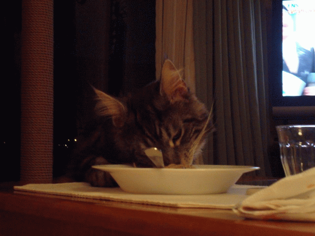 a0135577_20184210.gif