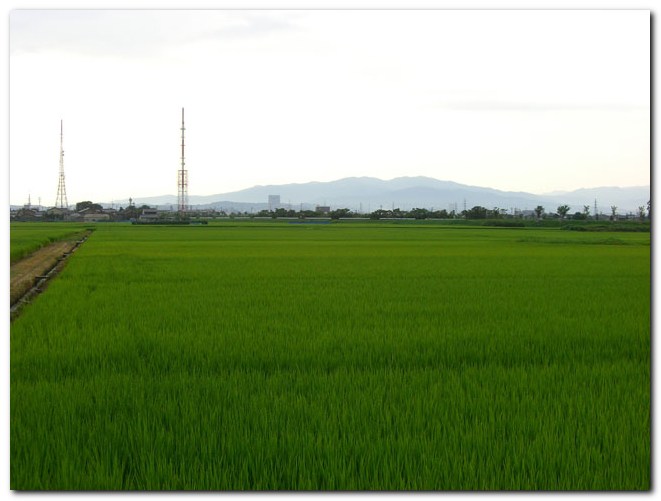 f0079990_824674.jpg