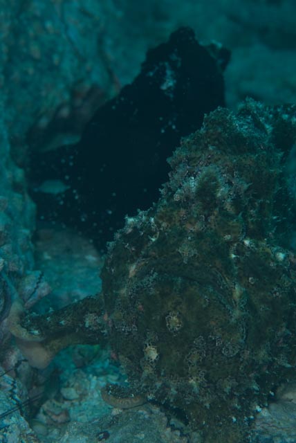 e0064291_16584938.jpg