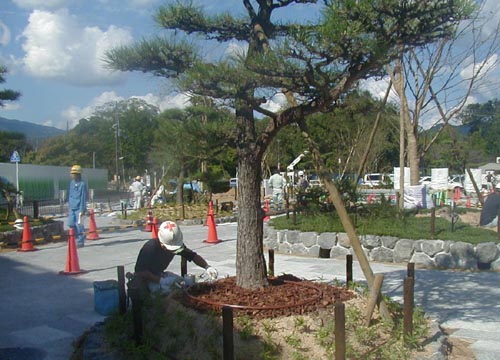 ●嵐山駅前の変化、その１２３（駅舎から広場、脇道から広場）_d0053294_1137328.jpg