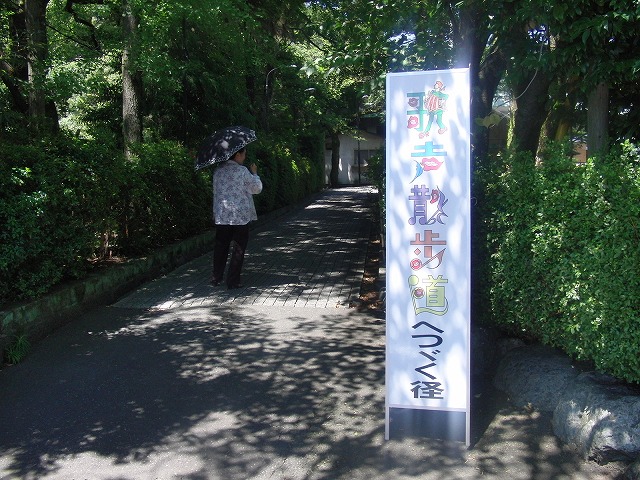 はつらつとした皆さんが歌う「歌声散歩道」_f0141310_781693.jpg