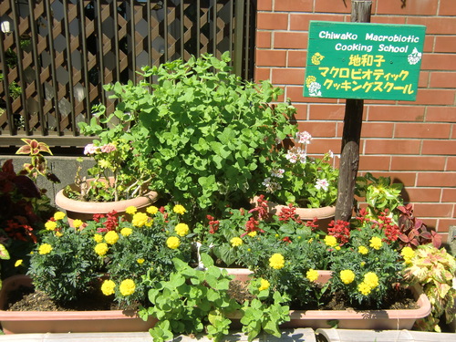f0230410_0204599.jpg