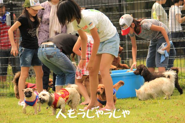 女子小学生 生脚 