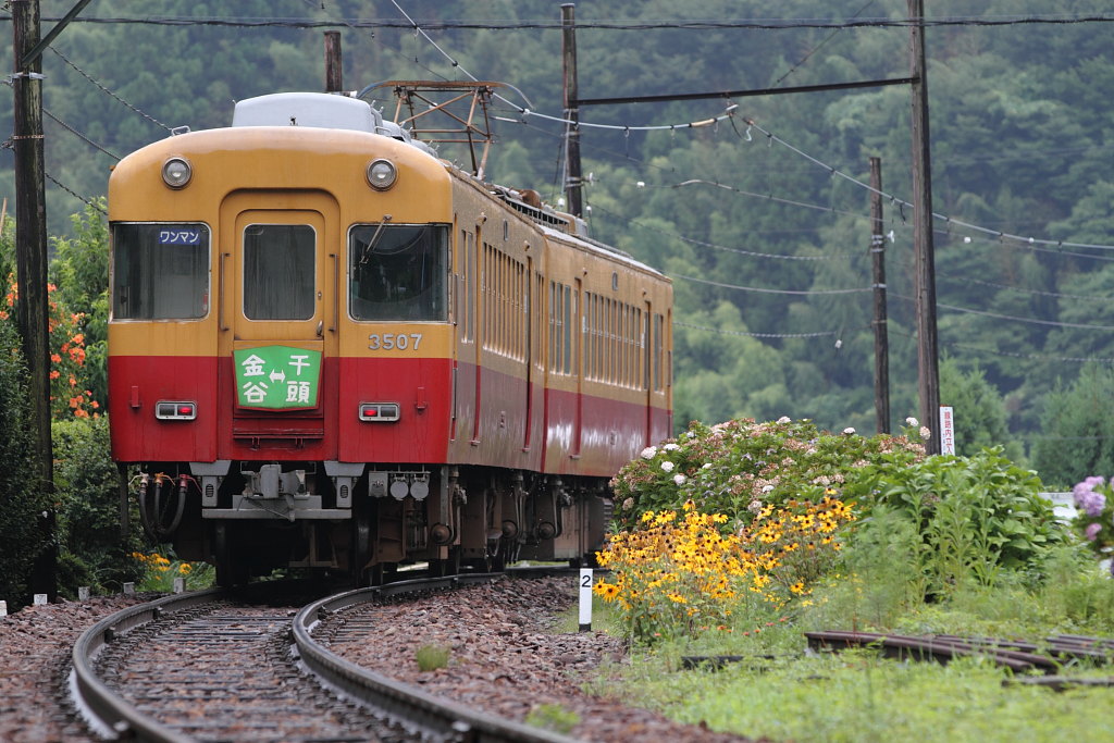 雨降ってるのに大井川鉄道に行ってみた。_a0123415_2015069.jpg