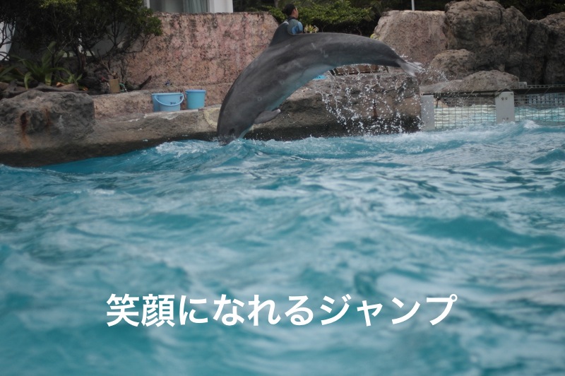 かもがわシーワールド_c0222817_1772529.jpg