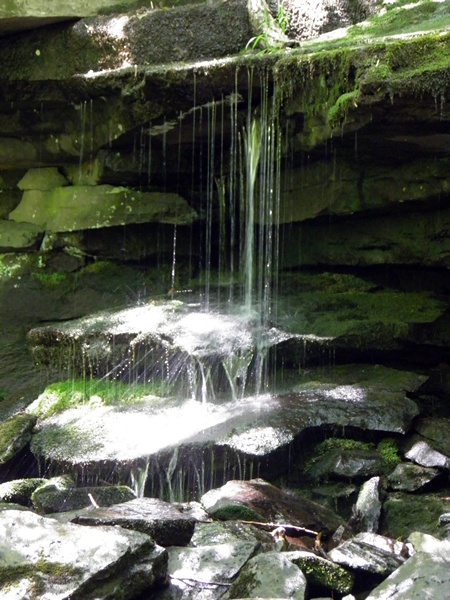 f0012718_9574269.jpg