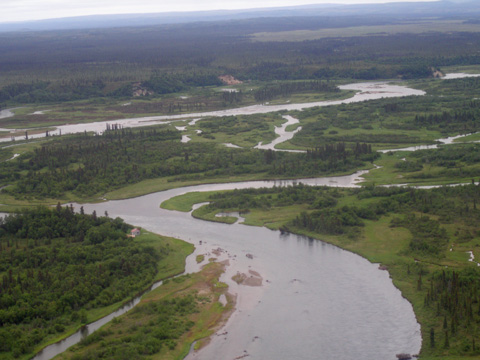 Alagnak Wild River_a0097322_917939.jpg