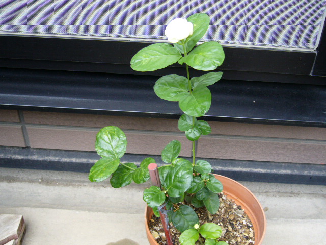 d0000324_14145858.jpg