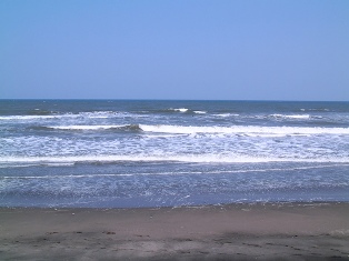 c0109726_1344429.jpg