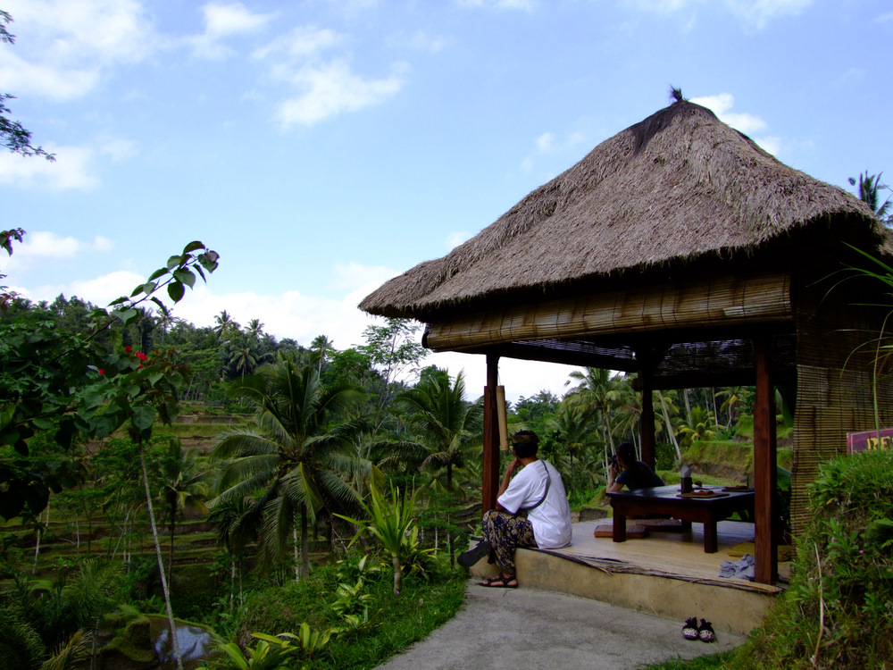 「バリ島2011 ライステラス Alon Alon Terrace Cafe (アロンアロンテラスカフェ)のガゼボランチ」_a0000029_1121842.jpg