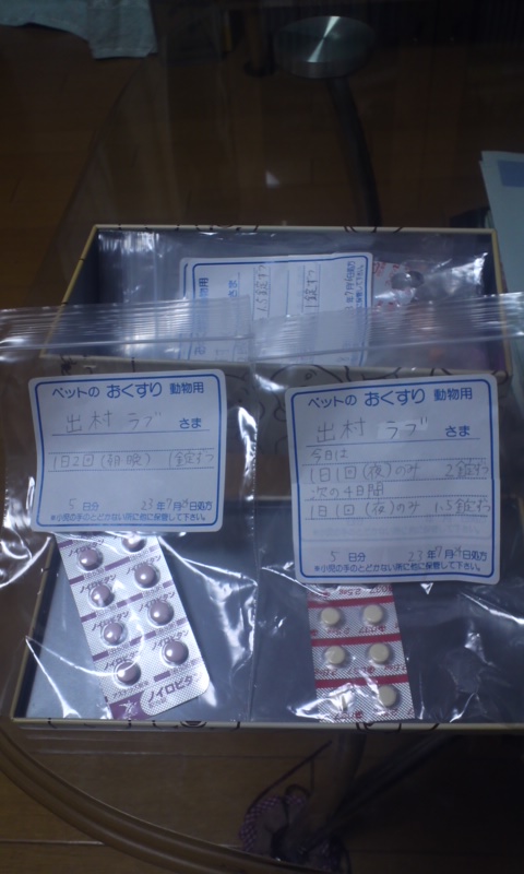 b0134529_73484.jpg
