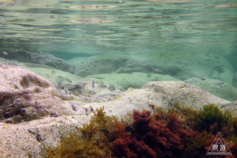 c0211532_2249343.jpg