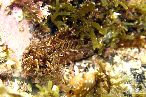 c0211532_2319869.jpg