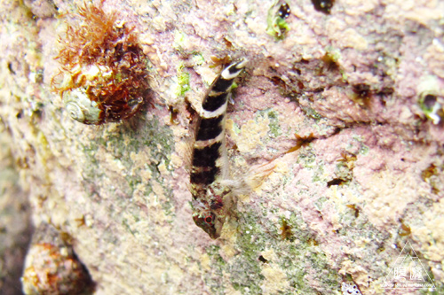 c0211532_23324462.jpg