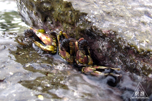 c0211532_23562044.jpg