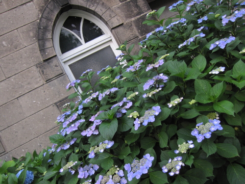 b0006537_11283686.jpg