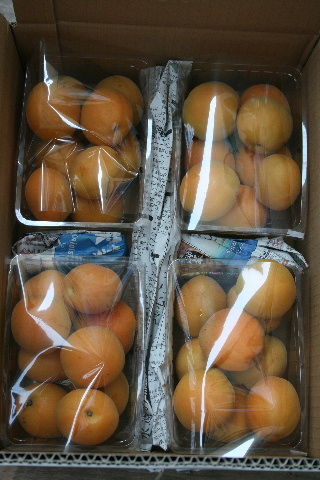 杏 信月_f0082141_9455410.jpg