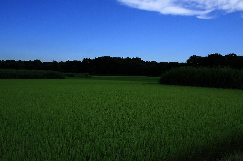 f0232841_20384989.jpg