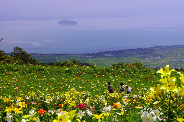 琵琶湖を望むゆり園_d0186245_0475326.jpg