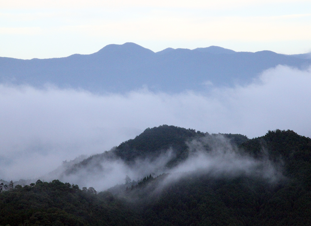 宇陀市　鳥見山公園　雨上がり_c0108146_23394482.jpg