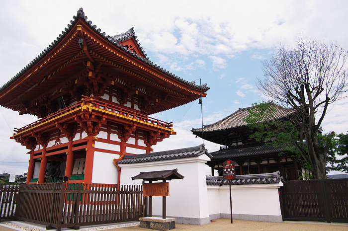 蓮咲く喜光寺_f0155048_2223172.jpg