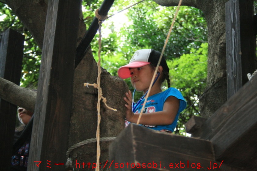 d0105749_18362897.jpg