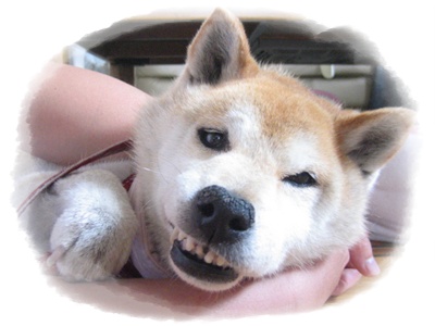 鉾は見られなかったけれど_c0049950_2230043.jpg