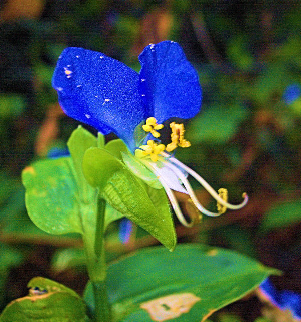 c0050857_8354862.jpg