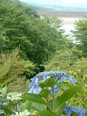 c0050264_1357862.jpg