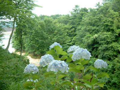 c0050264_13581572.jpg