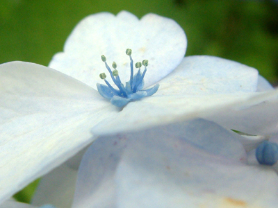 c0050264_143271.jpg