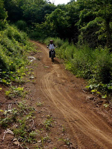 b0129477_0284430.jpg