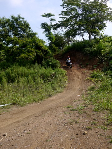 b0129477_029278.jpg