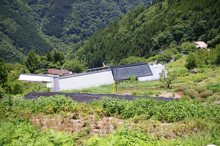 日本一の山岳集落_f0130879_22475015.jpg