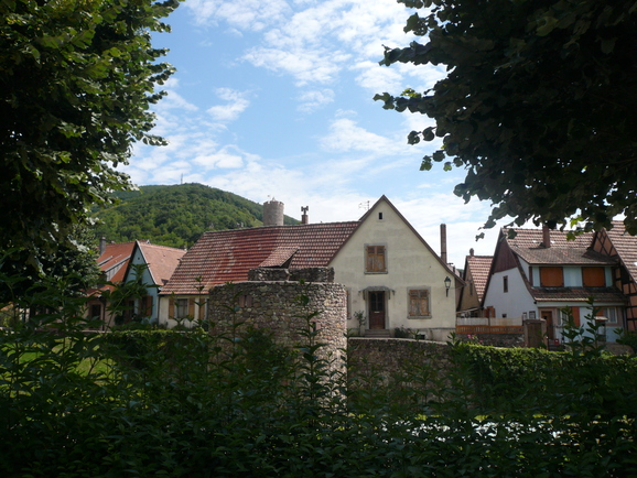 a0147890_15555855.jpg