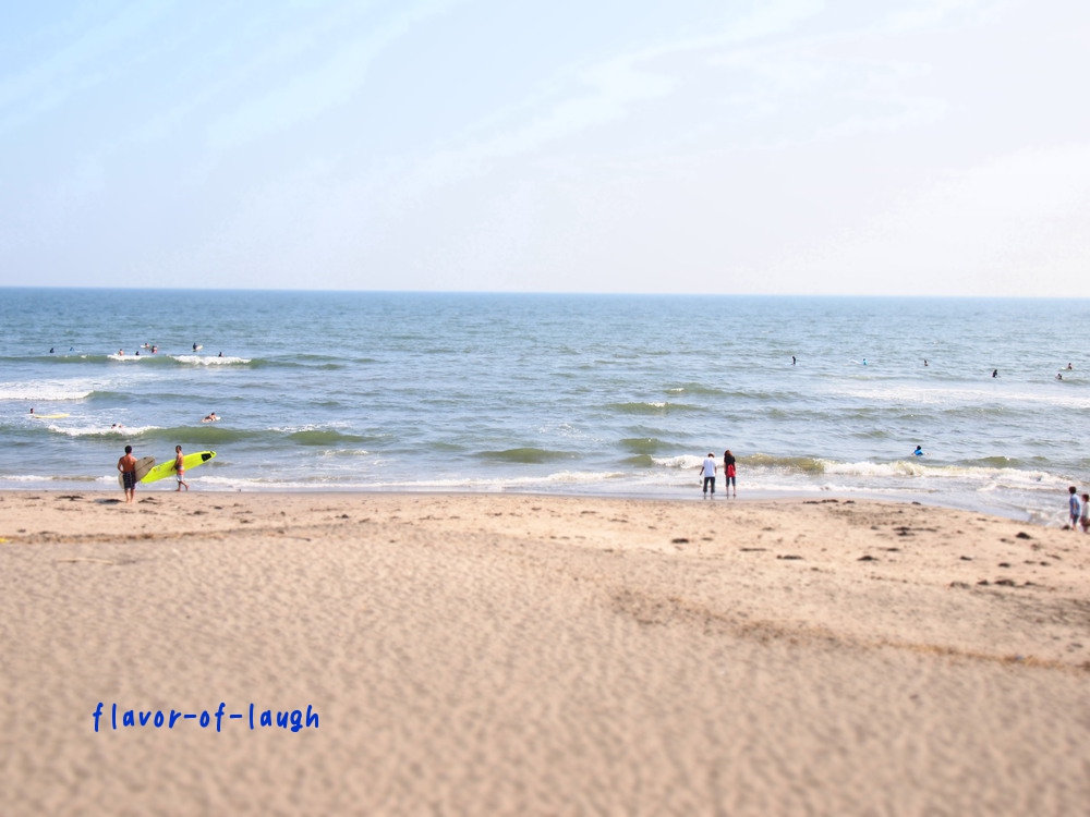 鎌倉の初夏　七里ガ浜編_b0199199_10582.jpg