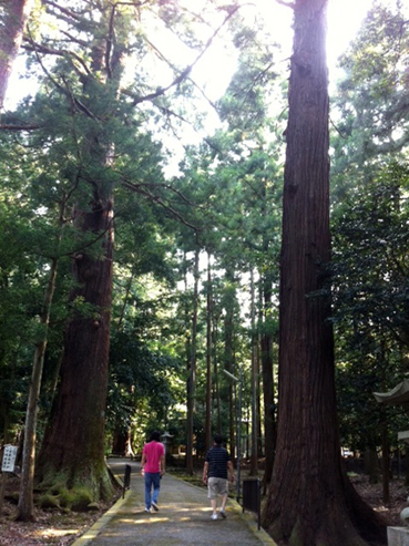 OBAMAの夏&宴_b0118001_18562790.jpg