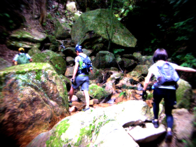 e0183004_1832690.jpg