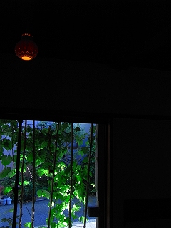 c0201910_139133.jpg