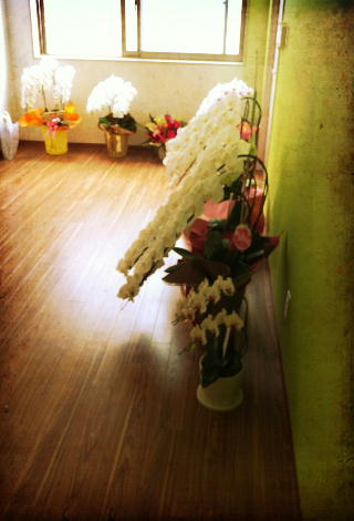 引越_f0192411_1246391.jpg