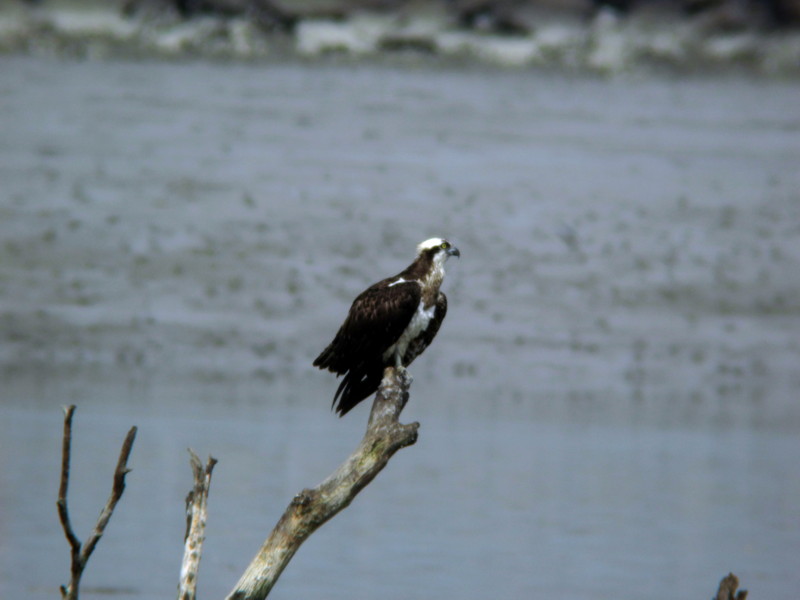 f0235311_13453946.jpg