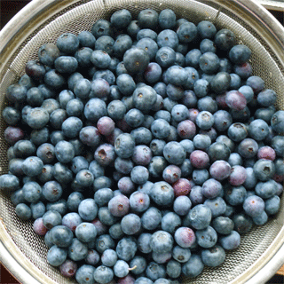 c0198717_11583536.gif