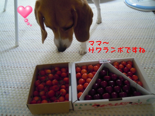 c0166622_95232.jpg