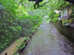 堀切温泉　宮崎の温泉_d0086228_1419196.jpg