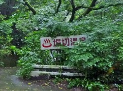 d0086228_1419729.jpg