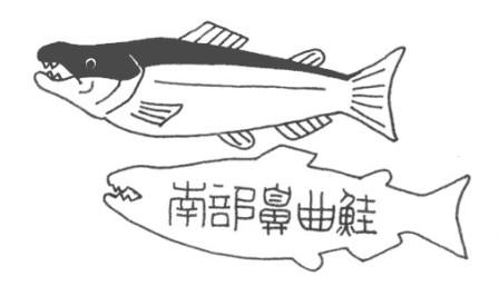 故郷に還る~南部鼻曲がり鮭_b0206037_21581516.jpg